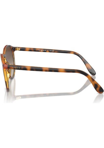 Vo 5544-SI Col 299014 51-19-140 Kadın Güneş Gözlüğü