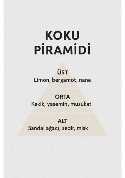 M204 50 ml – Ferah, Odunsu ve Kalıcı Erkek Parfümü | Modern ve Karizmatik Koku indirimleri