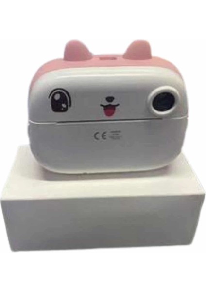 Dijital Hd Video Kamera Çocuk Fotoğraf Makinesi Anlık Termal Rulo modelleri