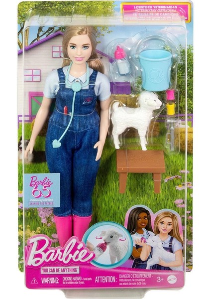 HRG42 Barbie 65. Yıl Deluxe Kariyer Bebekleri - Veteriner