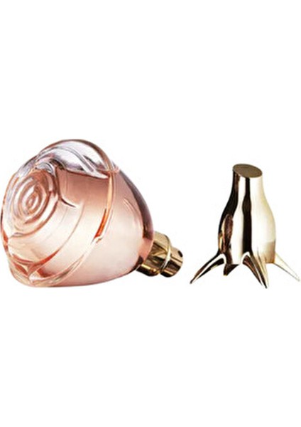 Volare Kadın Parfüm EDP 50 ml Meyveli Koku 3 Adet Romantik Hediye fırsatları