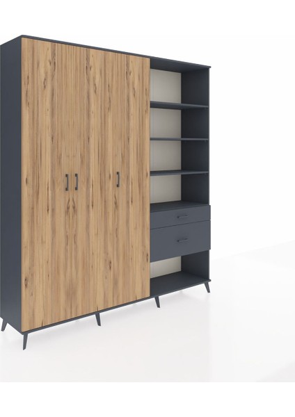 Hyperion Dolap 16 Raflı 2 Çekmeceli 3 Kapaklı 220X44X243 Antrasit-Çam/antrasit fiyatları