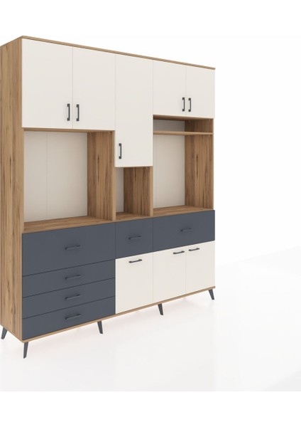 Hyperion Dolap 10 Raflı 6 Çekmeceli 8 Kapaklı 220X44X243 Çam-Aytaşı/antrasit fiyatları