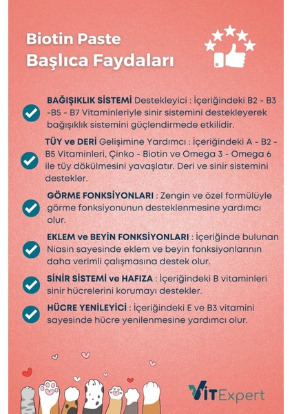 Biotin Paste Tüm Kediler Için Tüy Sağlığı Destekleyici ve Tüy Dökülmesi Önleyici Malt Macun 100 gr fırsatları