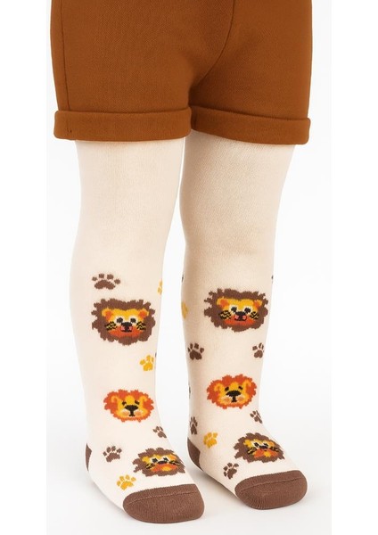 Aslan 6- Bebek Erkek Külotlu Çorap fiyatları