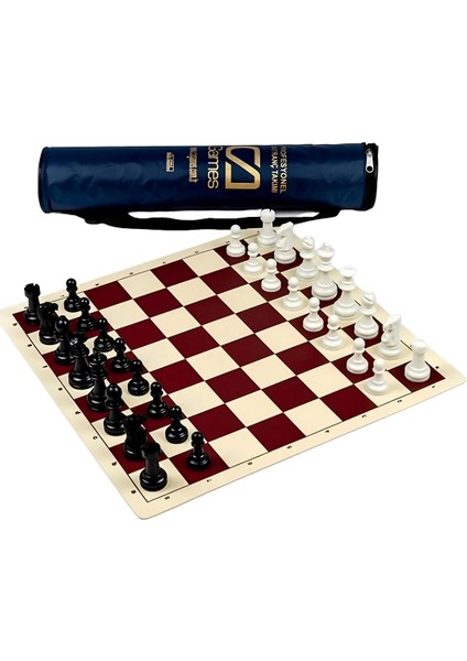Küçük Boy Profesyonel Satranç Takımı fiyatları