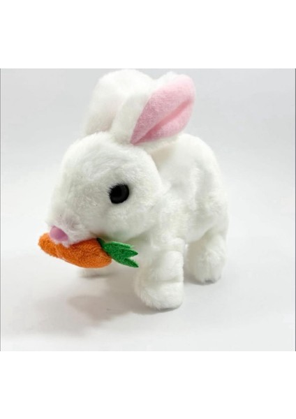 Sevimli Zıplayan Ağzında Havuç Tavşan Oyuncak Pilli Tavşan modelleri