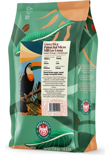 Costa Rica Palmichal Micro Mill Los Urena Yöresel Filtre Kahve 250 Gr.