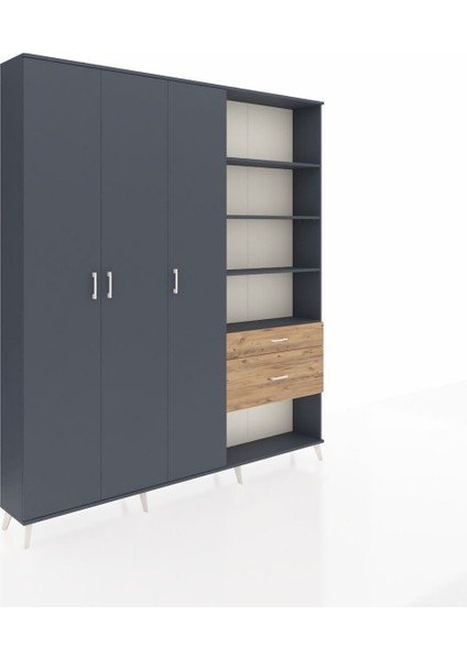 Arges Dolap 16 Raflı 2 Çekmeceli 3 Kapaklı 220X30X243 Antrasit-Antrasit/çam fiyatları