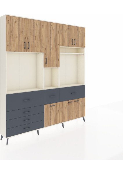 Arges Dolap 10 Raflı 6 Çekmeceli 8 Kapaklı 220X30X243 Aytaşı-Çam/antrasit fiyatları