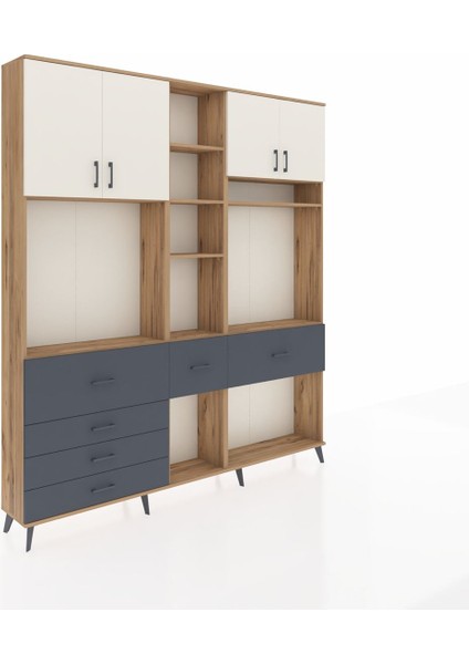 Arges Dolap 11 Raflı 6 Çekmeceli 4 Kapaklı 220X30X243 Çam-Aytaşı/antrasit fiyatları