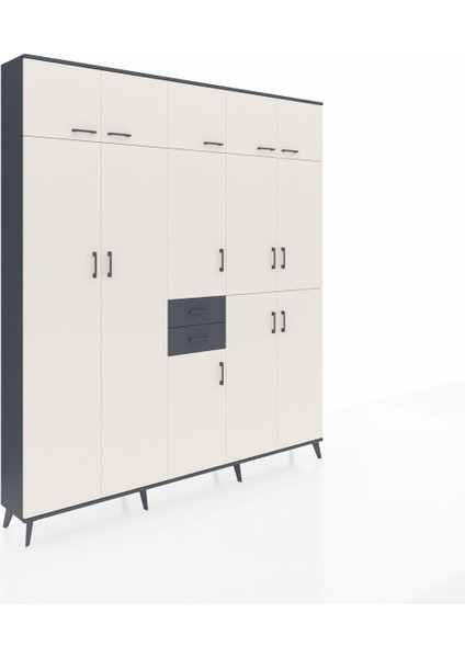 Arges Dolap 10 Raflı 2 Çekmeceli 3 Askılı 220X30X243 Antrasit-Aytaşı/antrasit fiyatları