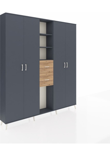 Arges Dolap 15 Raflı 2 Çekmeceli 4 Kapaklı 220X30X243 Antrasit-Antrasit/çam fiyatları