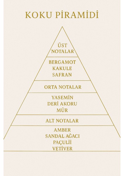 M201 Erkek Parfüm 50 ml – Deri Baharat Odunsu Koku – Yüksek Kalıcılık Premium Parfüm modelleri