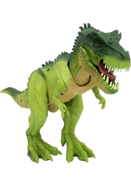 Sesli Dinazor Oyun Seti modelleri