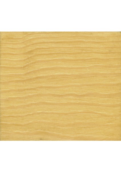 Prime Vernik Şeffaf 15 Lt fiyatları