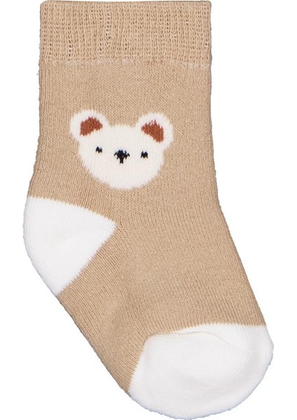 Mini Bear Havlu 6-18 Ay 2'li Bebek Erkek Çorap Set fiyatları