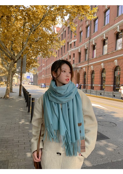 Kaşmir Eşarp Kadın Kış Kalınlaştırılmış Düz Renk Eşarp Vahşi Kore Versiyonu Şal Sonbahar ve Kış Eşarp (Yurt Dışından)