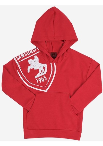 Arma Baskılı Kapüşonlu Çocuk Sweat fiyatları