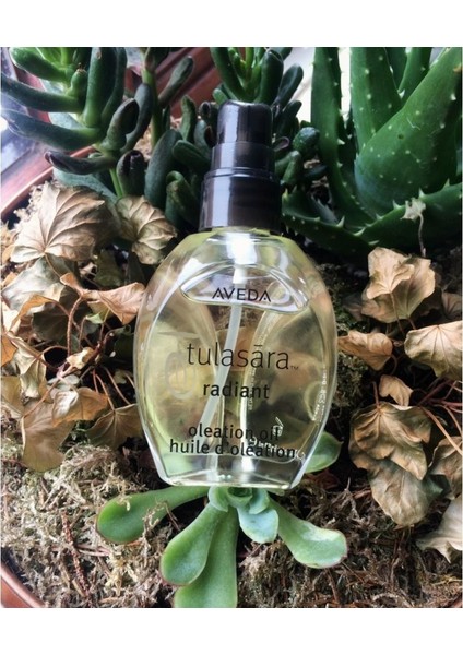 Tulasara Radiant Oleation Oil Cilt Bakım Yağı 50ml fiyatları