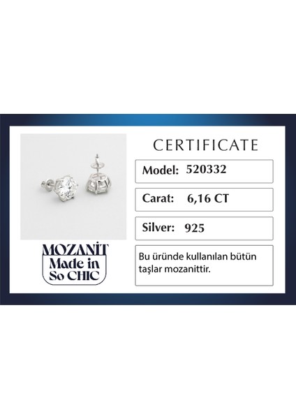 Modern Mozanit 18 Ayar Beyaz Altın Kaplama Gümüş Küpe indirimleri