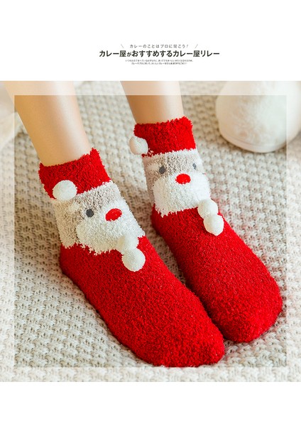 Noel Çorabı Kadın Sonbahar-Kış (Yurt Dışından) fiyatları