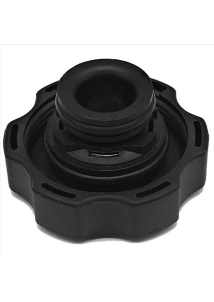 5x RC98 15075118 Radyatör Kapağı Ekipmanı 15 P S I Chevy Silverado Gmc Sierra Yukon Hummer H2 Için Radyatör Dalgalanma Tank Kapağı (Yurt Dışından) fırsatları