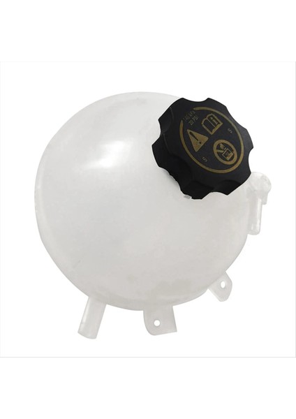 Radyatör Soğutucu Genişleme Tankı Yardımcı Su Deposu 23386455 84841961 Buick Lacrosse Chevrolet Equinox Için 603-861 (Yurt Dışından) modelleri