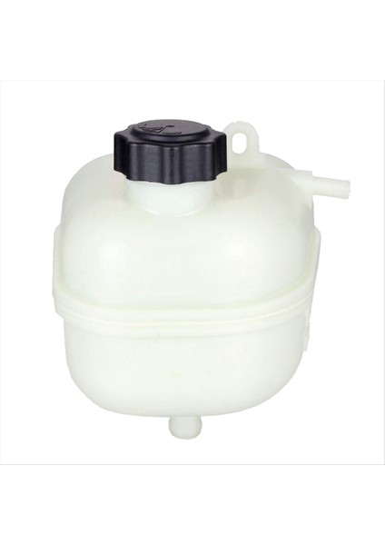 Motor Soğutucu Rezervuar Genişleme Tankı Yardımcı Su Tankı 17137529273 Bmw Mini Cooper S R52 R53 (Yurt Dışından) indirimleri