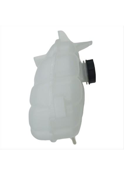 Araba Rezervuarı Taşma Tankı W/kapak Montajı G3GZ-8A080-A G3G38A080BE Ford Taurus Için 2 0 15-25 Lincoln Continental 16-23 (Yurt Dışından) modelleri