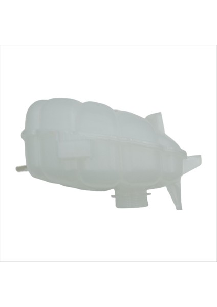 Araba Rezervuarı Taşma Tankı W/kapak Montajı G3GZ-8A080-A G3G38A080BE Ford Taurus Için 2 0 15-25 Lincoln Continental 16-23 (Yurt Dışından) fırsatları