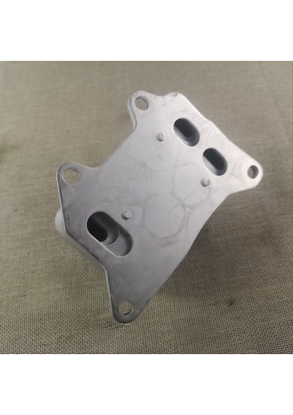 Audi A3 A4 A6 Q7 S3 Tt Quattro Vw Golf Golf R Arteon Gtı 06L117021C 06L117021E Için Motor Yağı Soğutucu (Yurt Dışından) modelleri