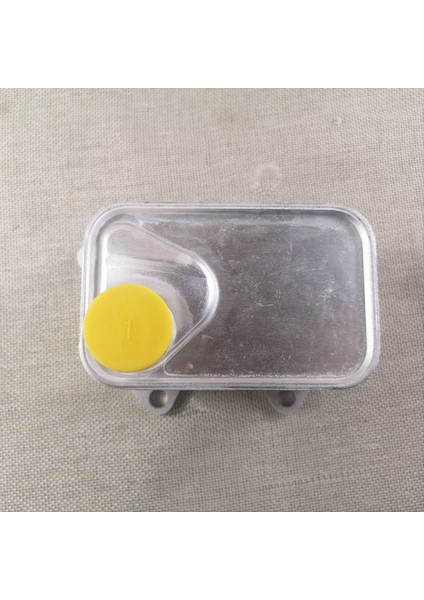 Audi A3 A4 A6 Q7 S3 Tt Quattro Vw Golf Golf R Arteon Gtı 06L117021C 06L117021E Için Motor Yağı Soğutucu (Yurt Dışından) indirimleri