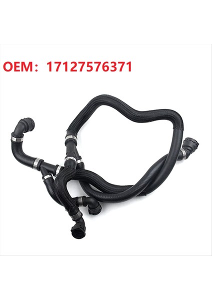Motor Genişleme Tank Radyatör Hortum Bmw E70 E71 X5 X6 35IX 40IX 17127576371 Için (Yurt Dışından) fiyatları