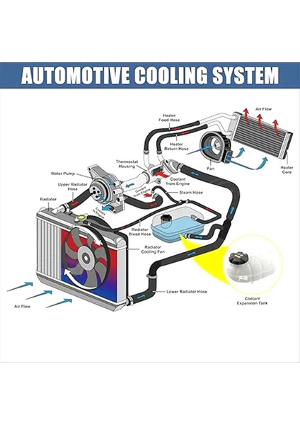17137642160 Soğutucu Genişletme Tank Bmw F36 F36 F33 F32 328 F30 F20 F21 F22 F31F34 Soğutma Su Tankı 17137609468 (Yurt Dışından) modelleri