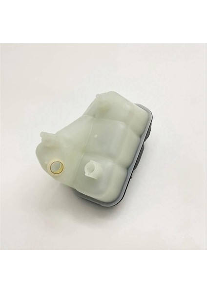 Radyatör Soğutucu Genişleme Tankı Yardımcı Su Şişesi 2115000049 Mercedes-Benz W211 C219 S211 E-Serisi Cls (Yurt Dışından) indirimleri