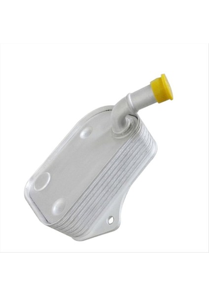 Motor Soğutucu Sistemi Yağ Soğutucu 06B117021 Vw B6 B7 Audi A4 A4 A6 Alüminyum Malzeme Motor Yağı Soğutucu 06B 117 021 (Yurt Dışından)