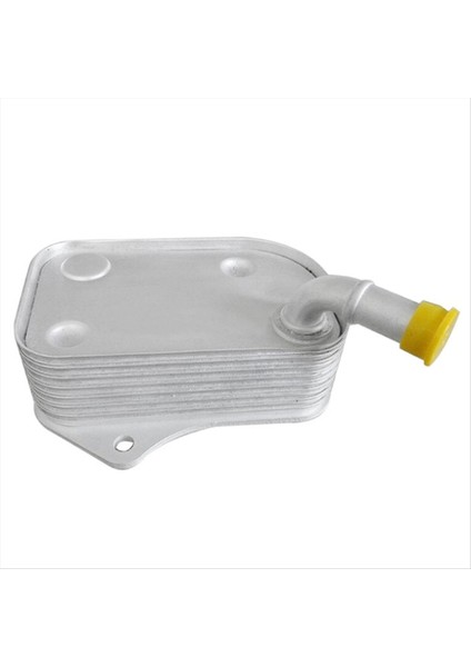 Motor Soğutucu Sistemi Yağ Soğutucu 06B117021 Vw B6 B7 Audi A4 A4 A6 Alüminyum Malzeme Motor Yağı Soğutucu 06B 117 021 (Yurt Dışından) fiyatları