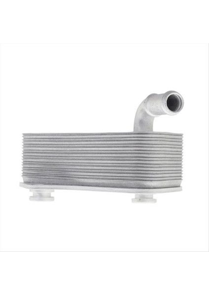 Motor Soğutucu Sistemi Yağ Soğutucu 06B117021 Vw B6 B7 Audi A4 A4 A6 Alüminyum Malzeme Motor Yağı Soğutucu 06B 117 021 (Yurt Dışından) fırsatları