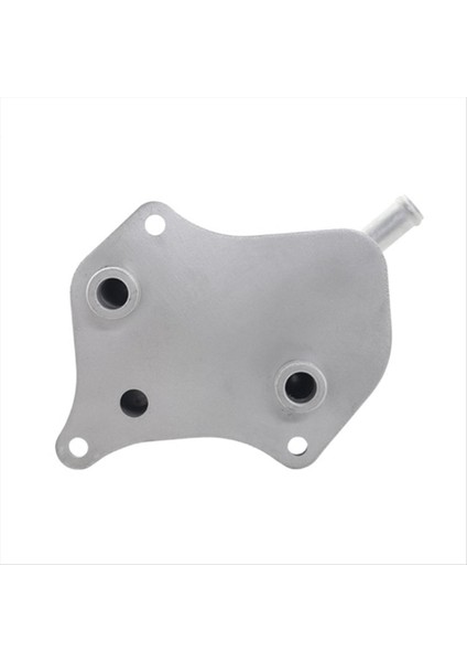 Motor Soğutucu Sistemi Yağ Soğutucu 06B117021 Vw B6 B7 Audi A4 A4 A6 Alüminyum Malzeme Motor Yağı Soğutucu 06B 117 021 (Yurt Dışından) indirimleri