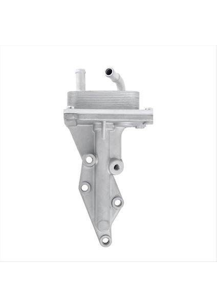 21300-JG36A 21300-JA06A Motor Yağı Radyatör Yağı Soğutucu Nissan Altima Için Otomotiv (Yurt Dışından)