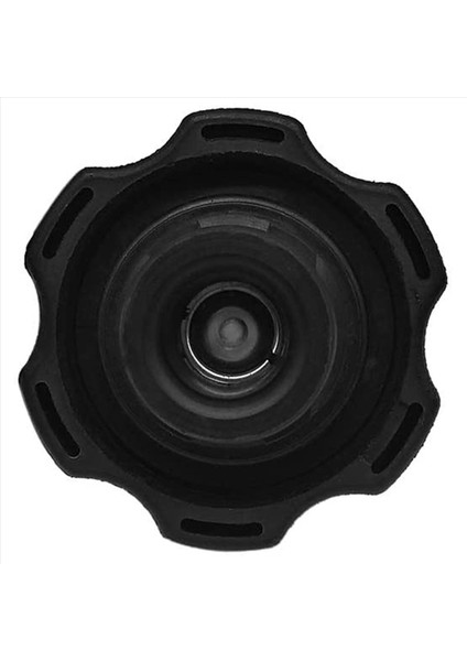 10X RC98 15075118 Radyatör Kapağı Ekipmanı 15 P S I Chevy Silverado Gmc Sierra Yukon Hummer Için Radyatör Dalgalanma Tank Kapağı (Yurt Dışından) indirimleri