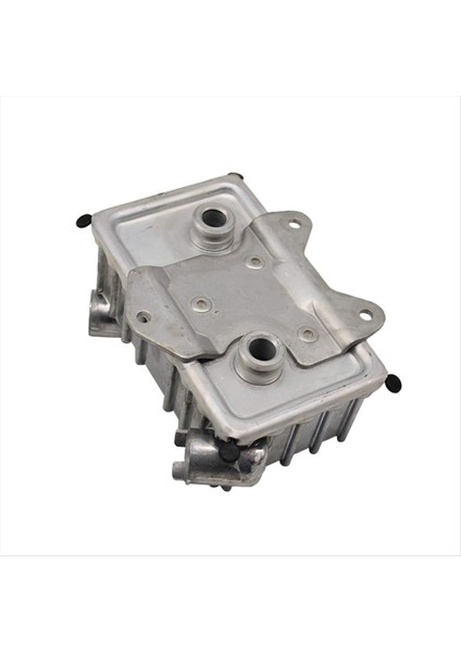 Mercedes-Benz C-Class C-Serisi Için Otomotiv Yağı Soğutucu Yağ Radyatörü C250 W202 G Sınıf Vario A6051800065 6051800065 (Yurt Dışından) fırsatları