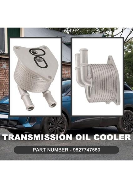 Peugeot 4008 5008 508L Citroen C5 Aircross C6 982747580 (Yurt Dışından) fırsatları