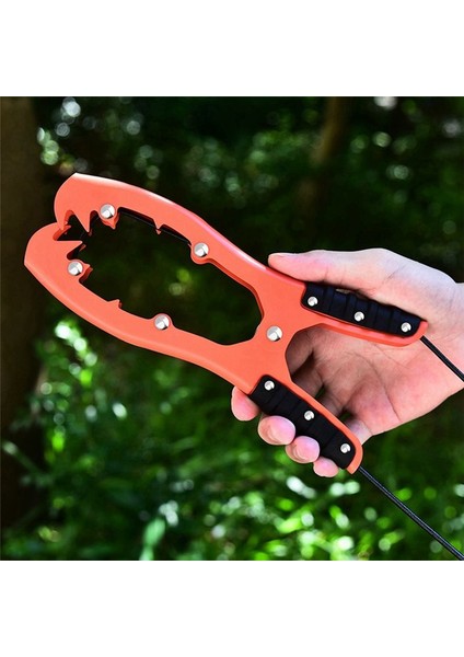 Tekne Kayak Ankrajı Kano Ekipman Aksesuarları Fırçalama Kelepçe Ankrajı Balıkçılık Tekne Kampası Için Dişler ile - 2 Paket (Yurt Dışından) indirimleri