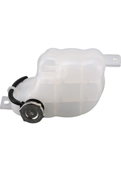 Dodge Yolculuğu Için Yepyeni Radyatör Soğutucu Taşma Tank ve Cap 5058456AE 2009-2015 (Yurt Dışından)