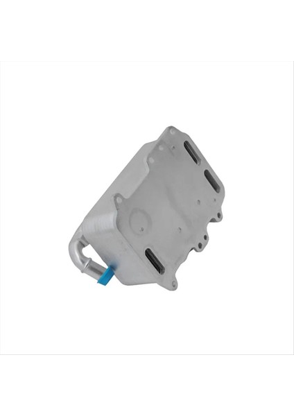 Motor Soğutma Sistemleri Yağ Soğutucu 059117021R 059117015P Audi A4 A5 A6 A7 A8 Sq5 Q5 Q7 Vw Touareg 3 0 Tdı Dizel (Yurt Dışından) fiyatları