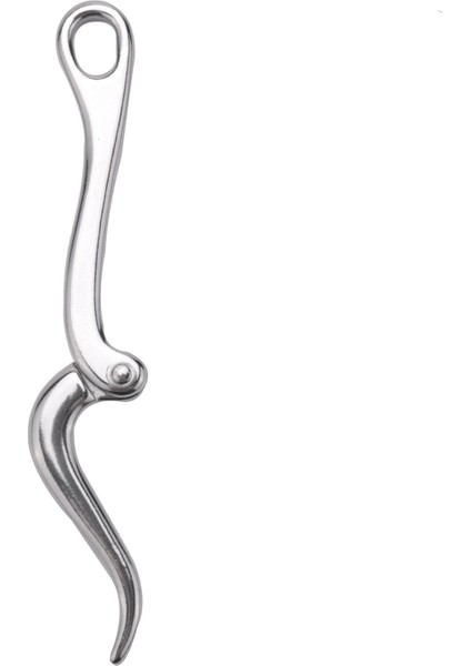 2x Pelican Hook &amp Göz Hızlı Serbest Bırakma Bağlantısı Paslanmaz Çelik 316 Deniz Tekne Donanımı 100MM (Yurt Dışından) indirimleri