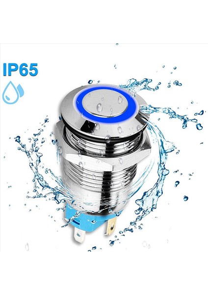 10PCS 12MM Mandal Push Düğmesi Anahtarı Yüksek Yuvarlak Kapak 12V/24V Mavi Işık ile Su Geçirmez Metal Itme Düğmesi Anahtarı (Yurt Dışından) indirimleri
