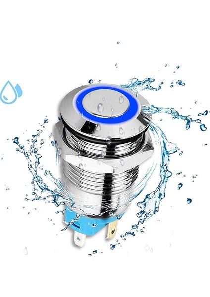 5pcs 12MM Mandal Push Düğmesi Anahtarı Yüksek Yuvarlak Kapak 12V/24V Mavi Işık ile Su Geçirmez Metal Itme Düğmesi Anahtarı (Yurt Dışından) fırsatları